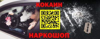 a pvp Гатчина