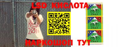 кокс Гай