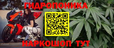a pvp Гатчина