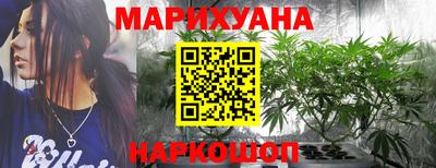 a pvp Гатчина