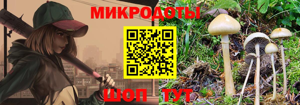 Жуковский  Псилоцибиновые грибы Cubensis  Галлюциногенные грибы Psilocybe  Вход с VPN 