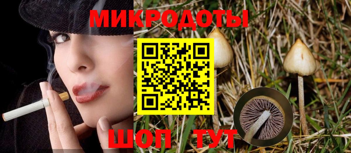 Галлюциногенные грибы GOLDEN TEACHER Жуковский